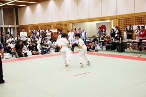IMG 1917
