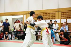 IMG 1924