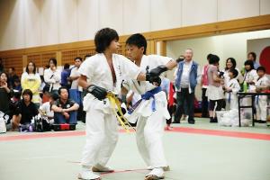 IMG 1937
