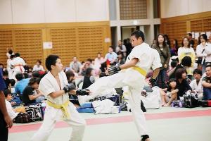 IMG 1940