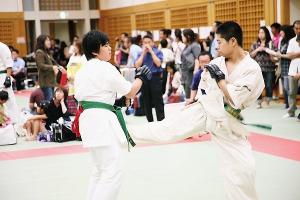 IMG 1943
