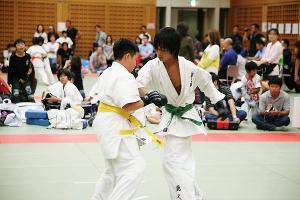 IMG 1944