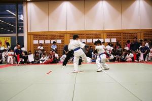 IMG 3003