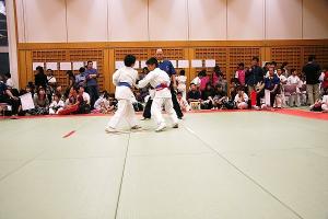 IMG 3004