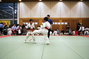 IMG 3017