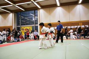 IMG 3019