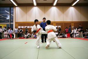 IMG 3027