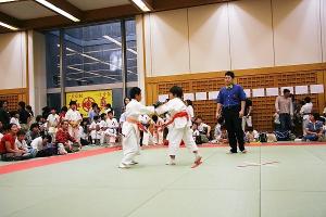 IMG 3029