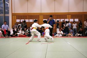 IMG 3037