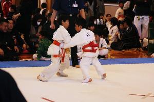 IMG 8085
