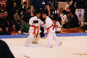 IMG 8086