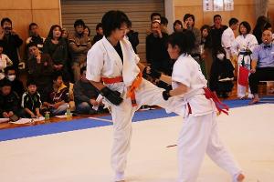 IMG 8091