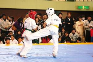 IMG 9514