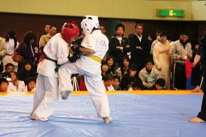 IMG 9515