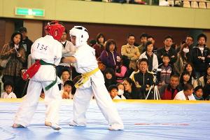 IMG 9517