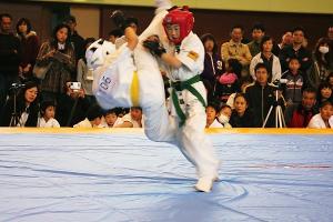 IMG 9519