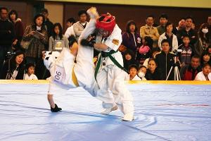 IMG 9520
