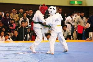 IMG 9522