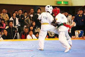 IMG 9525