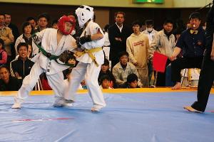 IMG 9527