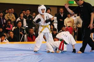 IMG 9528