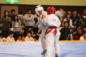 IMG 9529