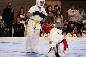 IMG 9530