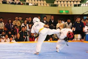 IMG 9533