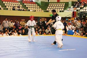 IMG 9536