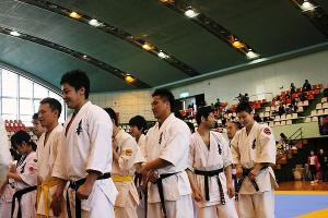 IMG 9540