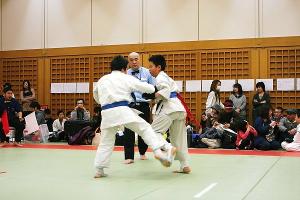 IMG 9248