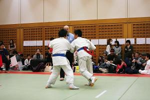 IMG 9249