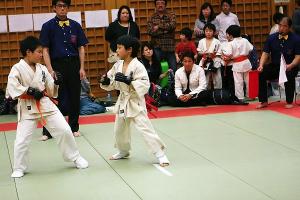 IMG 9250