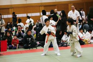 IMG 9251