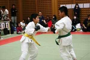 IMG 9252