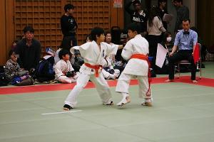 IMG 9253