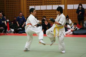 IMG 9254