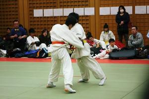 IMG 9255