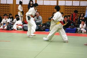 IMG 9256