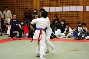 IMG 9258