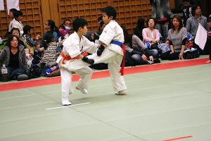 IMG 9261