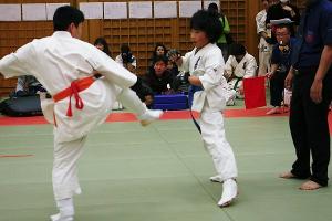 IMG 9264