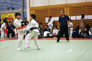 IMG 9266