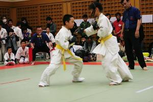 IMG 9267