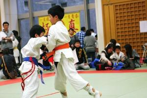 IMG 9270