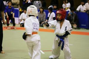 IMG 9546