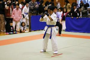 IMG 9553