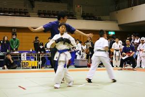 IMG 9554