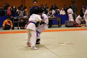 IMG 9558