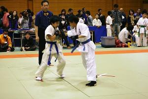 IMG 9559